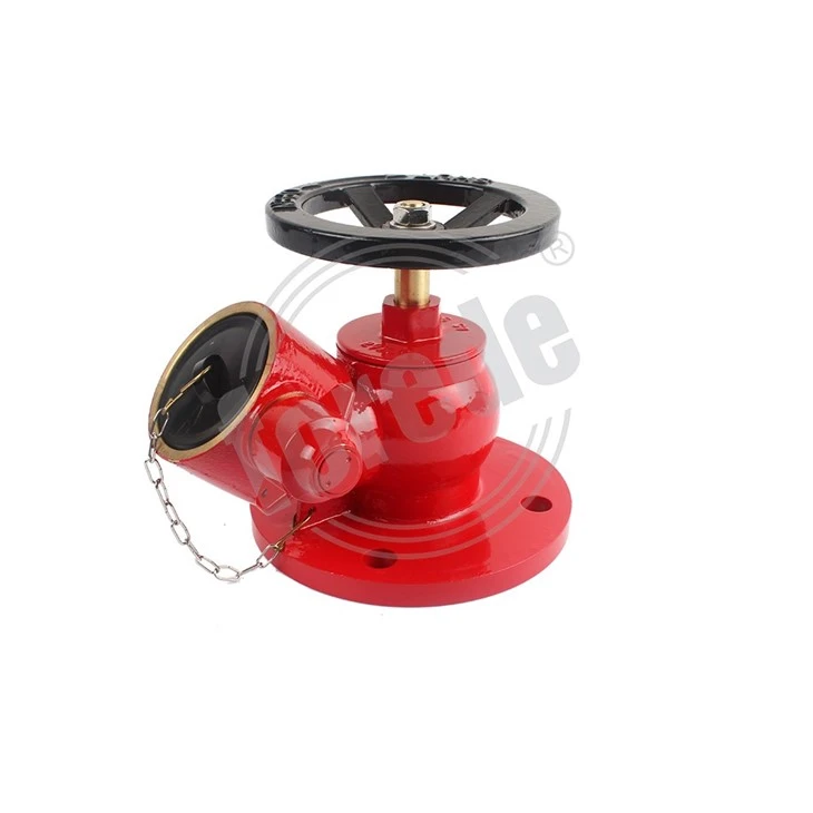 Landing Valve Fire Fighting